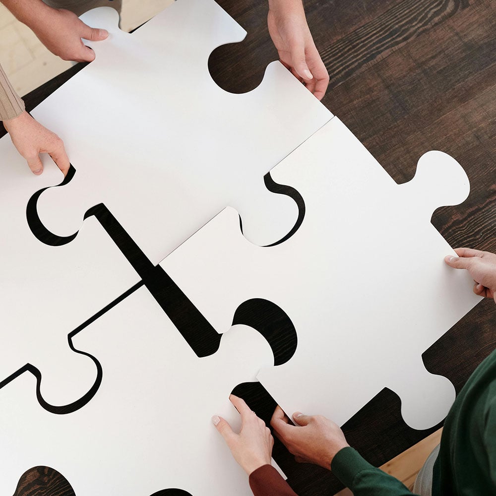 people who put large pieces of the puzzle together