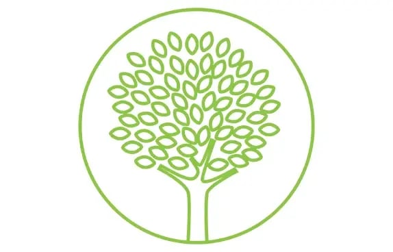an illustration of a tree with lots of leaves