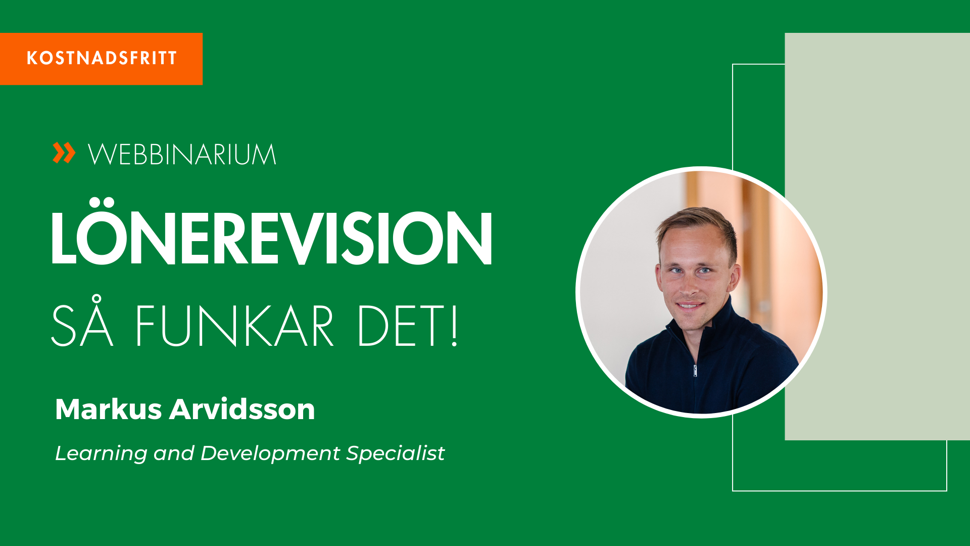 Lönerevision - Så funkar det!
