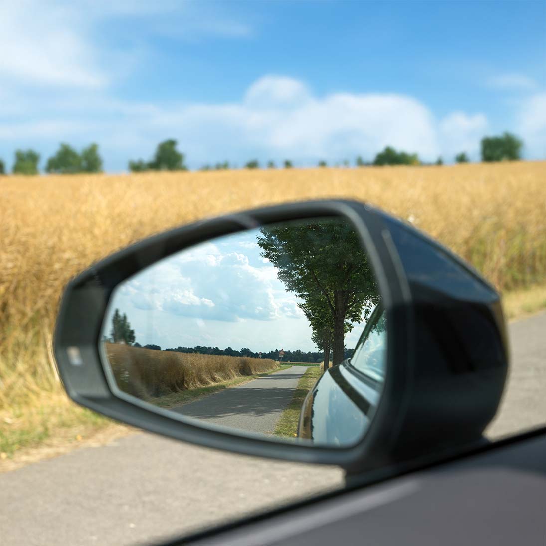 En tillbakablick från 2025